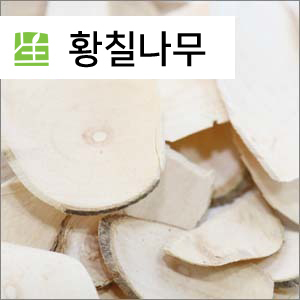 황칠나무-국내산-(600g)